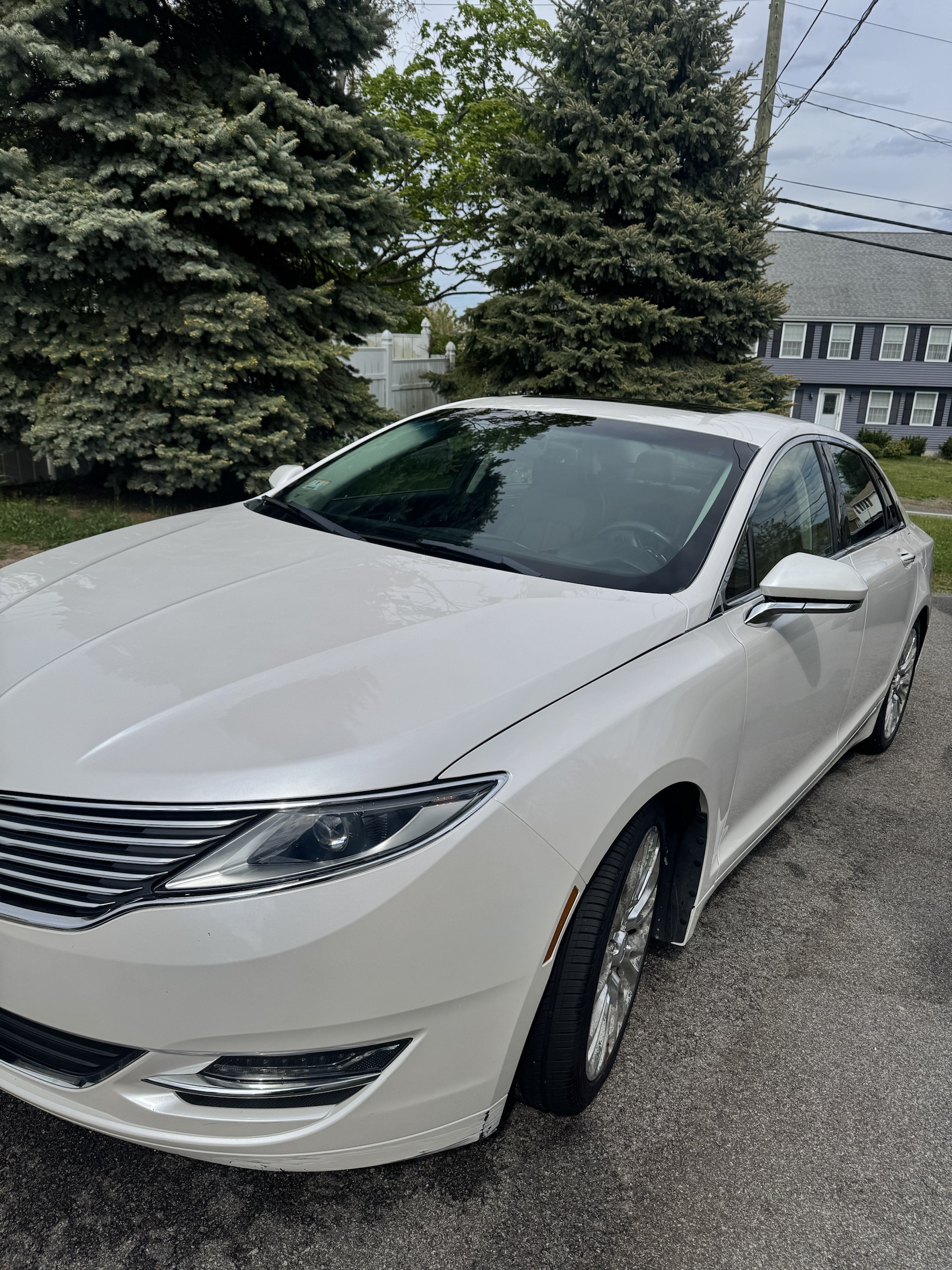 Glossy detailed vehicle by Elite Detailing Quincy